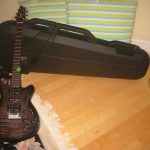 godin guitar and case